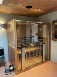 Petersfield sauna stereo ceiling speaker