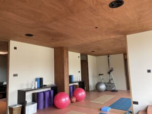 Gym ceiling speakers