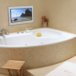 aquavision bathroom tv